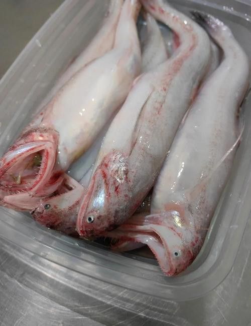 天山龍魚(yú)的做法竅門(mén)圖片