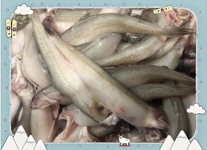 天山龍魚(yú)的做法竅門(mén)圖片