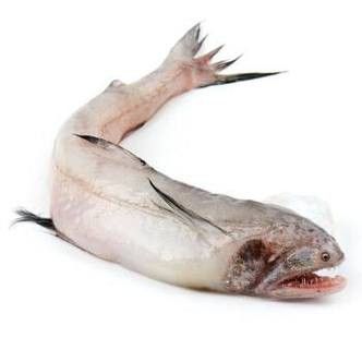 天山龍魚(yú)的做法竅門(mén)圖片