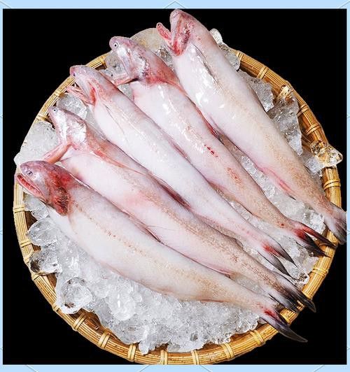 天山龍魚(yú)的做法竅門(mén)圖片