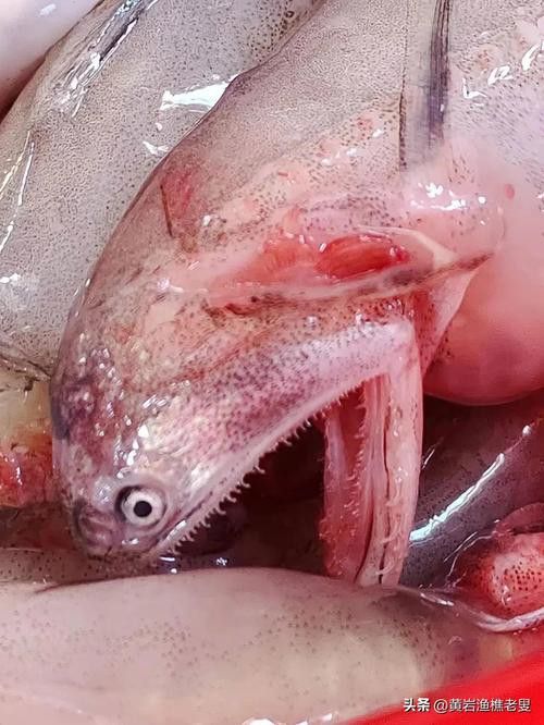 天山龍魚(yú)的做法竅門(mén)圖片