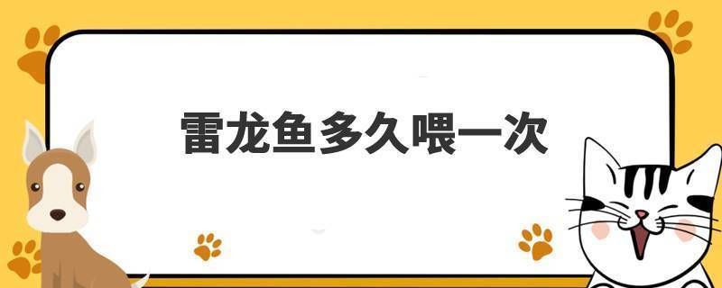 雷龍魚(yú)都喂什么：雷龍魚(yú)專用飼料品牌推薦