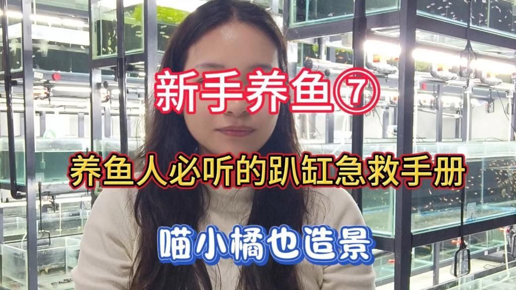如何預防魚兒趴缸？ 如何預防魚兒趴缸？ 龍魚百科 第3張