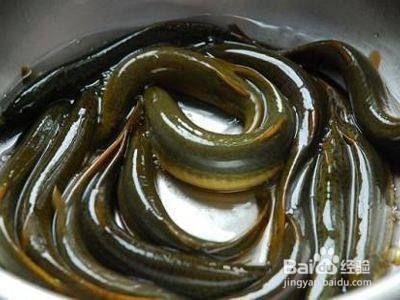 龍魚泥鰍去粘液，喂養龍魚時，泥鰍身上有一層黏液，可以幫助去除粘液