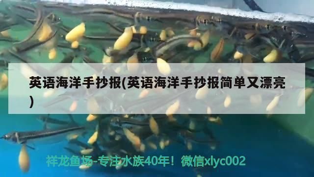 福滿鉆魚色彩變化規律，福滿鉆魚最佳飼養水溫，如何調節魚缸光照促進發色