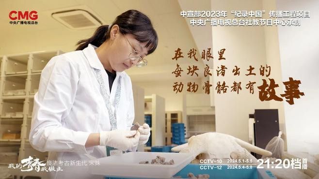 這些文物遺存中哪件最具有歷史價值？