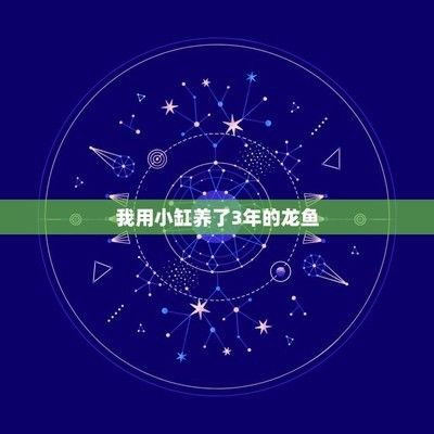 龍魚被壓制不吃食怎么辦：壓養的龍魚壓養的龍魚能長大嗎，壓養的龍魚能長大嗎 龍魚被壓制不吃食怎么辦：壓養的龍魚壓養的龍魚能長大嗎，壓養的龍魚能長大嗎 龍魚百科 第14張