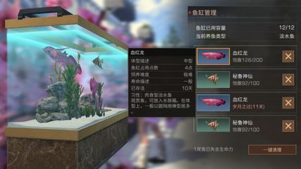 龍魚之城（世界龍魚錦標賽一條龍魚108萬元高價售出，引發網友熱議）