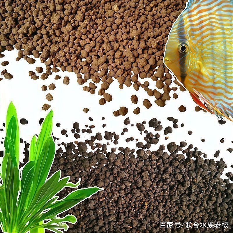 馬遜水草泥怎么樣好用嗎