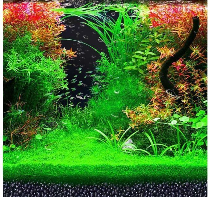 馬遜水草泥怎么樣好用嗎
