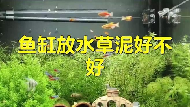 馬遜水草泥怎么樣好用嗎