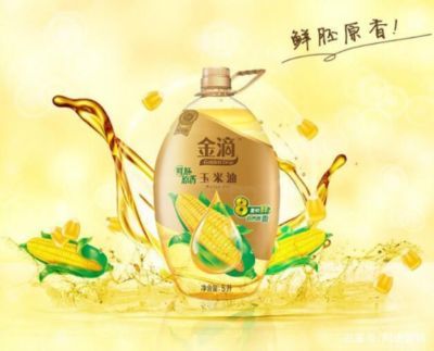 金龍魚的好處（金龍魚在風水學和營養學方面具有多重好處：旺財運擋煞辟邪）