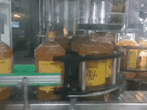 金龍魚有哪些美國合作伙伴？ 金龍魚有哪些美國合作伙伴？ 龍魚百科 第2張