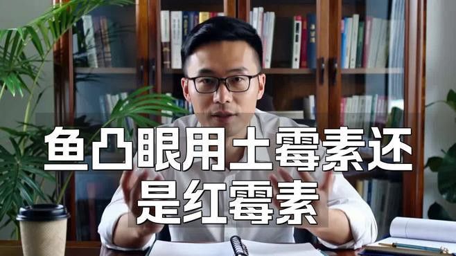 哪些藥物可以有效治療紅龍魚凸眼？ 哪些藥物可以有效治療紅龍魚凸眼？ 龍魚百科 第1張