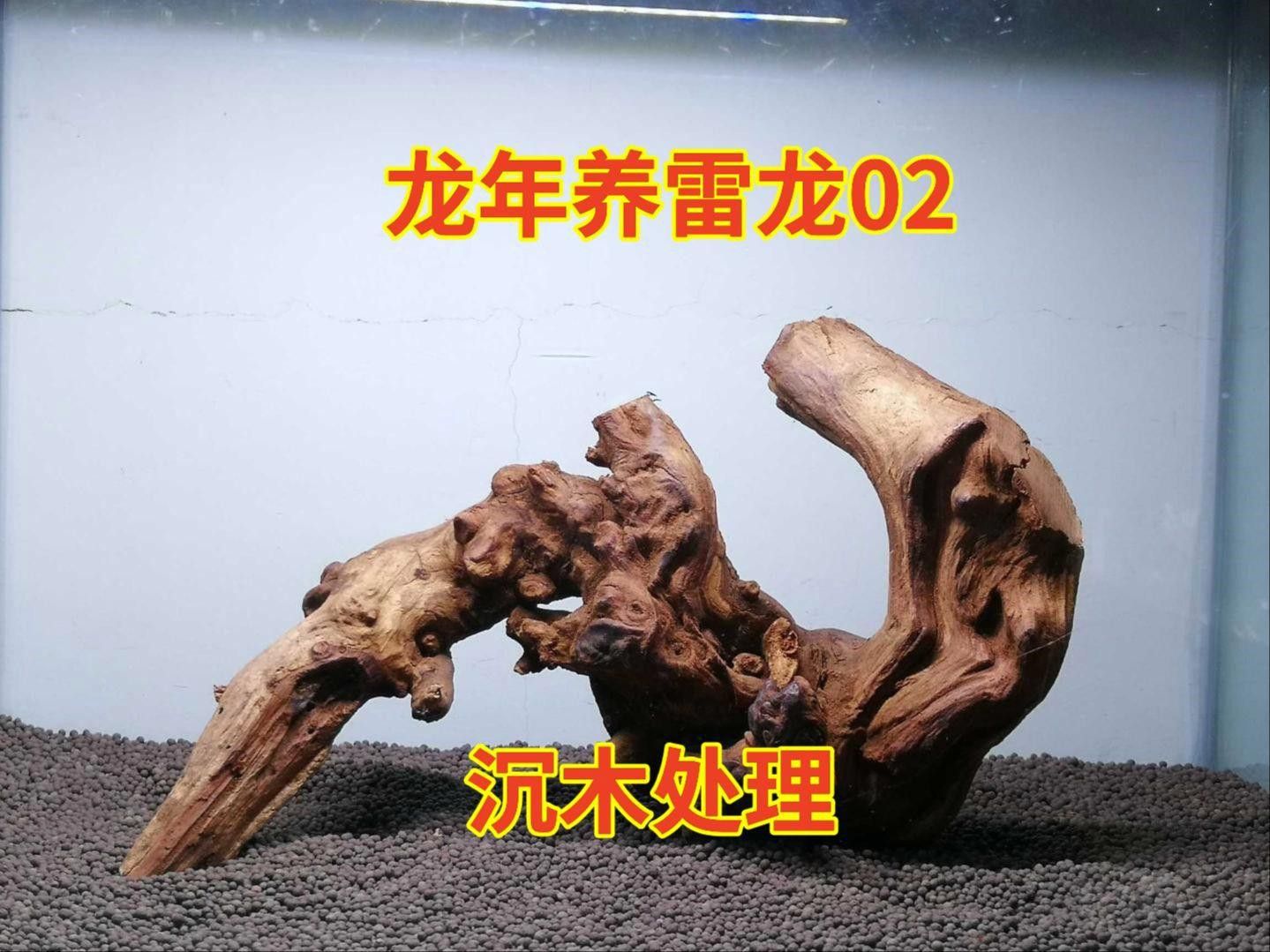 沉木消毒的具體方法