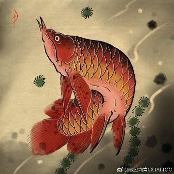 龍魚紋身圖案100個圖片