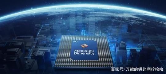 金龍魚芯片是什么樣的（金龍魚芯片與國際貿易規則）