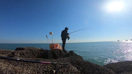 雷龍魚白毛什么樣：雷龍魚身上出現白毛是怎么回事