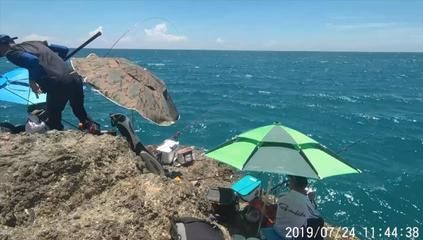 雷龍魚白毛什么樣：雷龍魚身上出現白毛是怎么回事