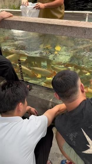 龍魚十大漁場排名榜圖片
