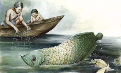 龍魚吃蚊子嗎會(huì)死嗎：龍魚可以吃蚊子嗎 龍魚吃蚊子嗎會(huì)死嗎：龍魚可以吃蚊子嗎 龍魚百科 第3張