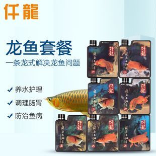 仟龍龍魚七劍客怎么樣（仟龍龍魚七劍客產品）