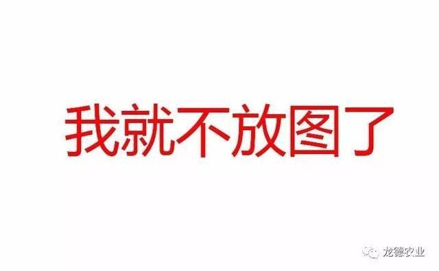 經(jīng)常喂龍魚吃面包蟲會不會挑食