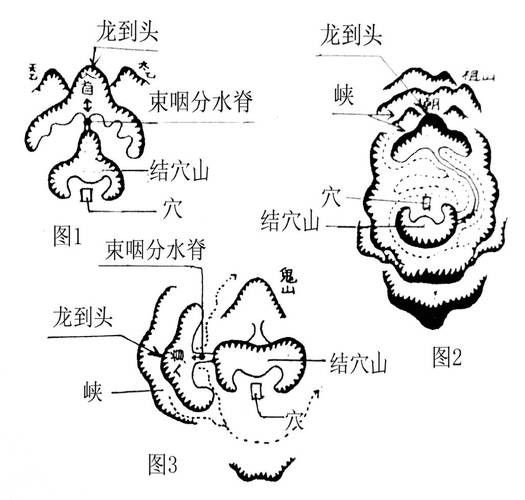 給我一些龍脈吉兇圖解實例 給我一些龍脈吉兇圖解實例 龍魚百科 第3張