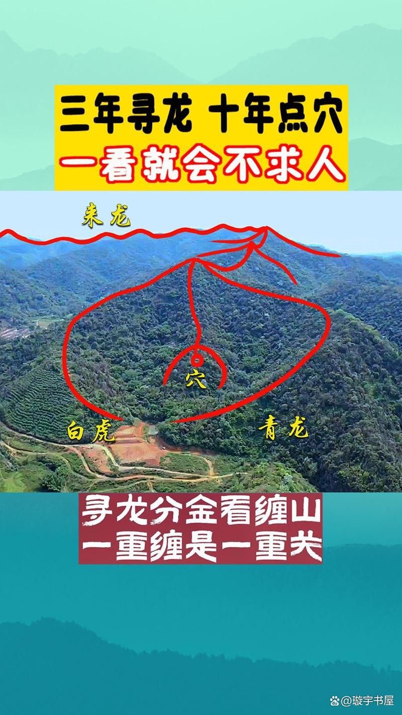 給我一些龍脈吉兇圖解實例 給我一些龍脈吉兇圖解實例 龍魚百科 第11張
