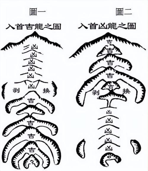 給我一些龍脈吉兇圖解實例 給我一些龍脈吉兇圖解實例 龍魚百科 第10張
