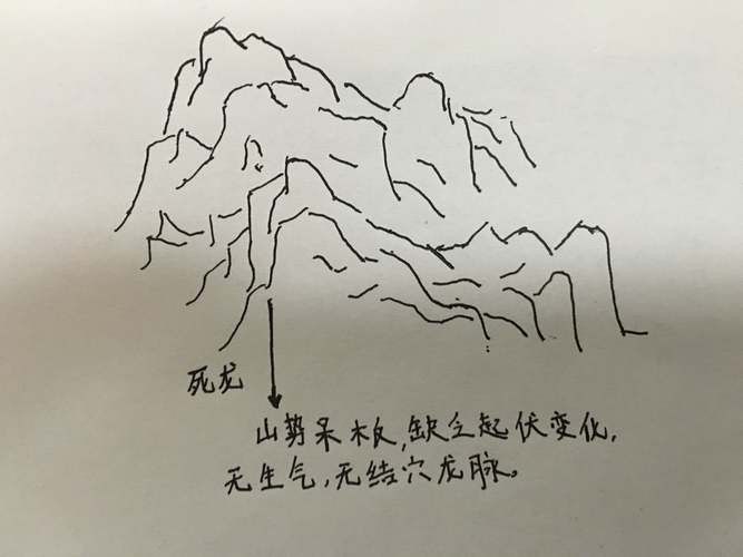 給我一些龍脈吉兇圖解實例 給我一些龍脈吉兇圖解實例 龍魚百科 第15張