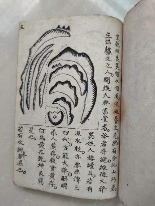 給我一些龍脈吉兇圖解實例 給我一些龍脈吉兇圖解實例 龍魚百科 第18張