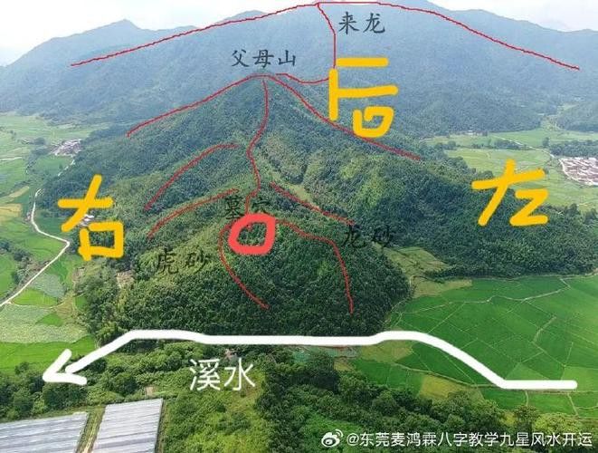 給我一些龍脈吉兇圖解實例 給我一些龍脈吉兇圖解實例 龍魚百科 第25張