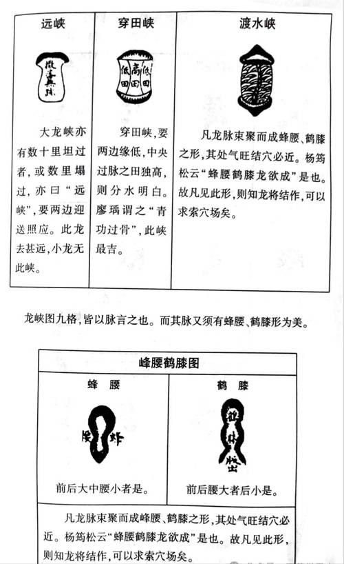 給我一些龍脈吉兇圖解實例 給我一些龍脈吉兇圖解實例 龍魚百科 第22張