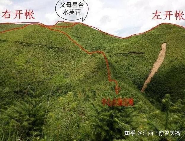給我一些龍脈吉兇圖解實例 給我一些龍脈吉兇圖解實例 龍魚百科 第26張