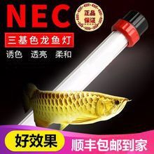 紅龍專用照明設(shè)備有哪些品牌推薦？
