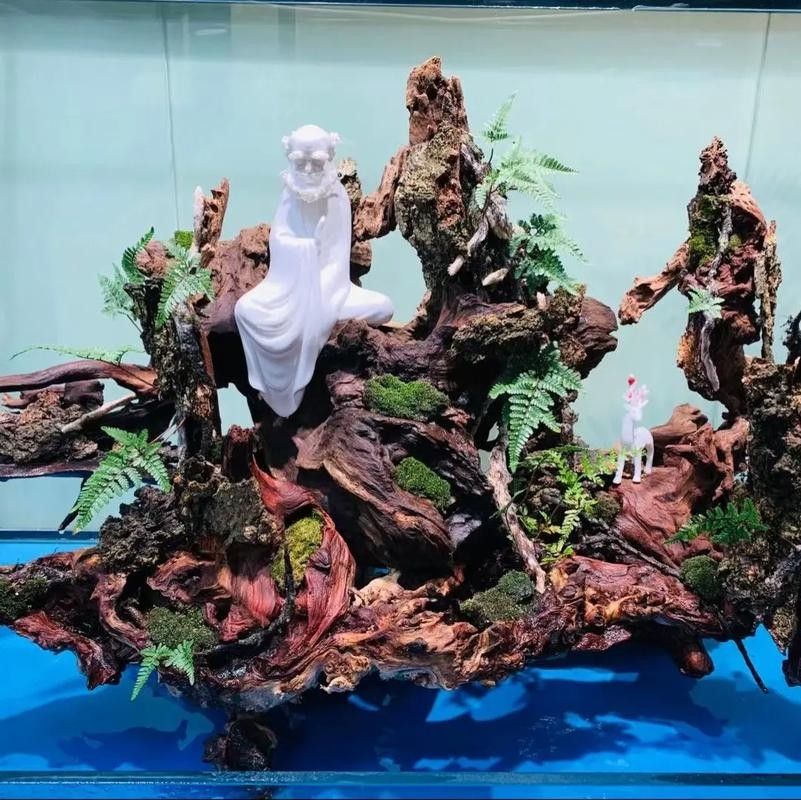 龍魚沉木造景位置圖片
