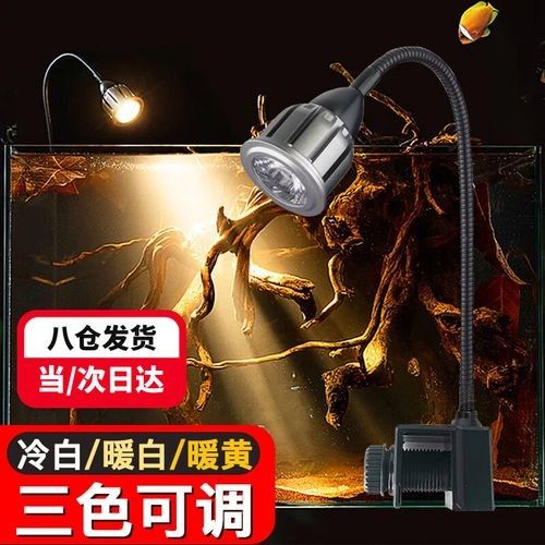 龍魚沉木造景位置圖片