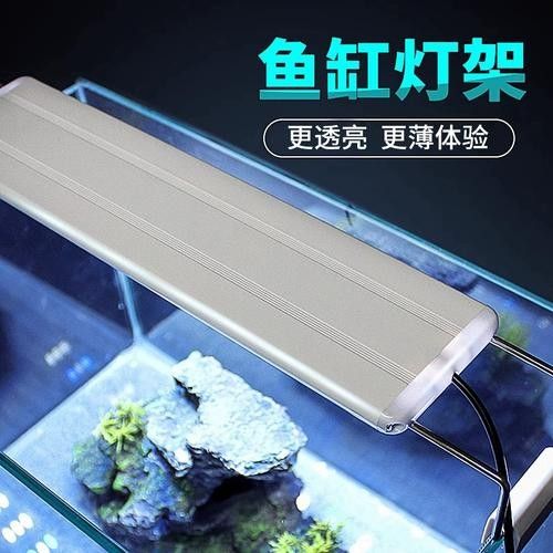 龍魚沉木造景位置圖片