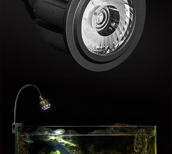 龍魚沉木造景位置圖片