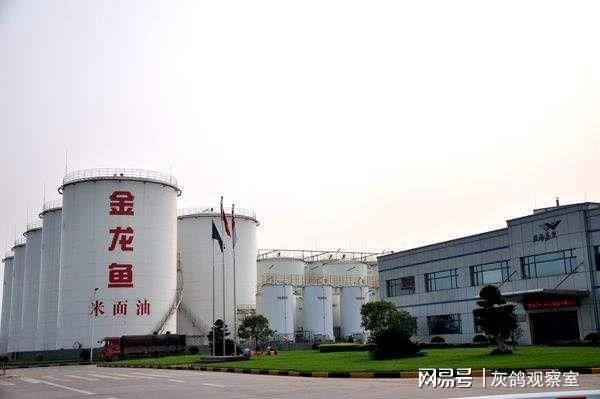 金龍魚的廠家是哪個國家的企業啊，金龍魚在全球的生產基地分布 金龍魚的廠家是哪個國家的企業啊，金龍魚在全球的生產基地分布 龍魚百科 第5張