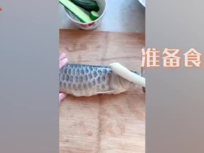 石家莊男子吃掉金龍魚案件真相 石家莊男子吃掉金龍魚案件真相 龍魚百科 第2張