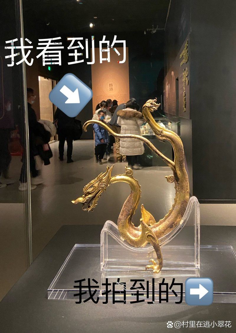 這些著名金龍圖片中哪張最有歷史價值？