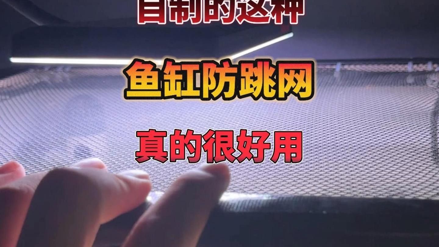 推薦幾款有效的防跳網(wǎng)