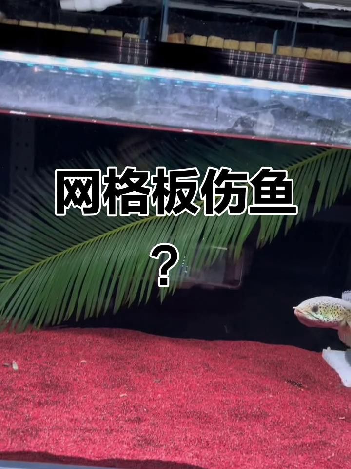 推薦幾款有效的防跳網(wǎng)
