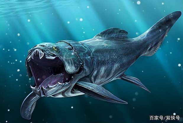 恐龍時(shí)代有鯊魚嗎