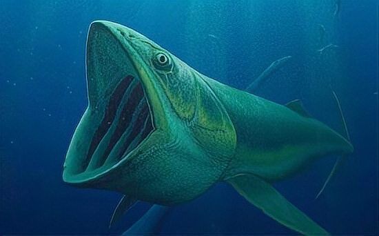 恐龍時(shí)代有鯊魚嗎