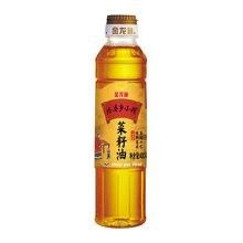 阿里巴巴和金龍魚 阿里巴巴和金龍魚 龍魚百科 第9張