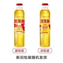 阿里巴巴和金龍魚 阿里巴巴和金龍魚 龍魚百科 第10張