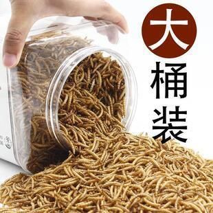 龍魚的飼料金魚能吃嗎？：如何判斷金魚飼料的質(zhì)量